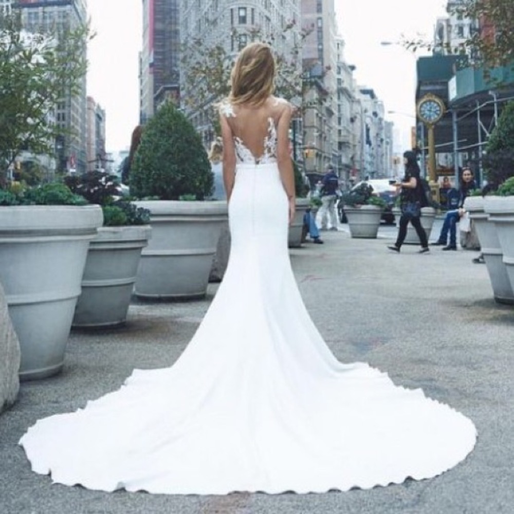 Pronovias Vicenta Wedding Gown - Picture 3 of 8